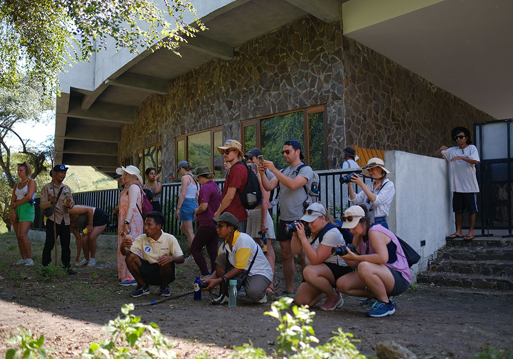Komodo Island Boat Tours from Cruise Ship