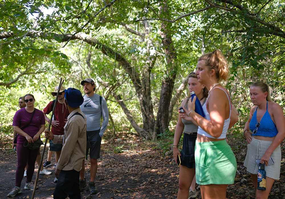 Komodo Island Tours from Labuan Bajo