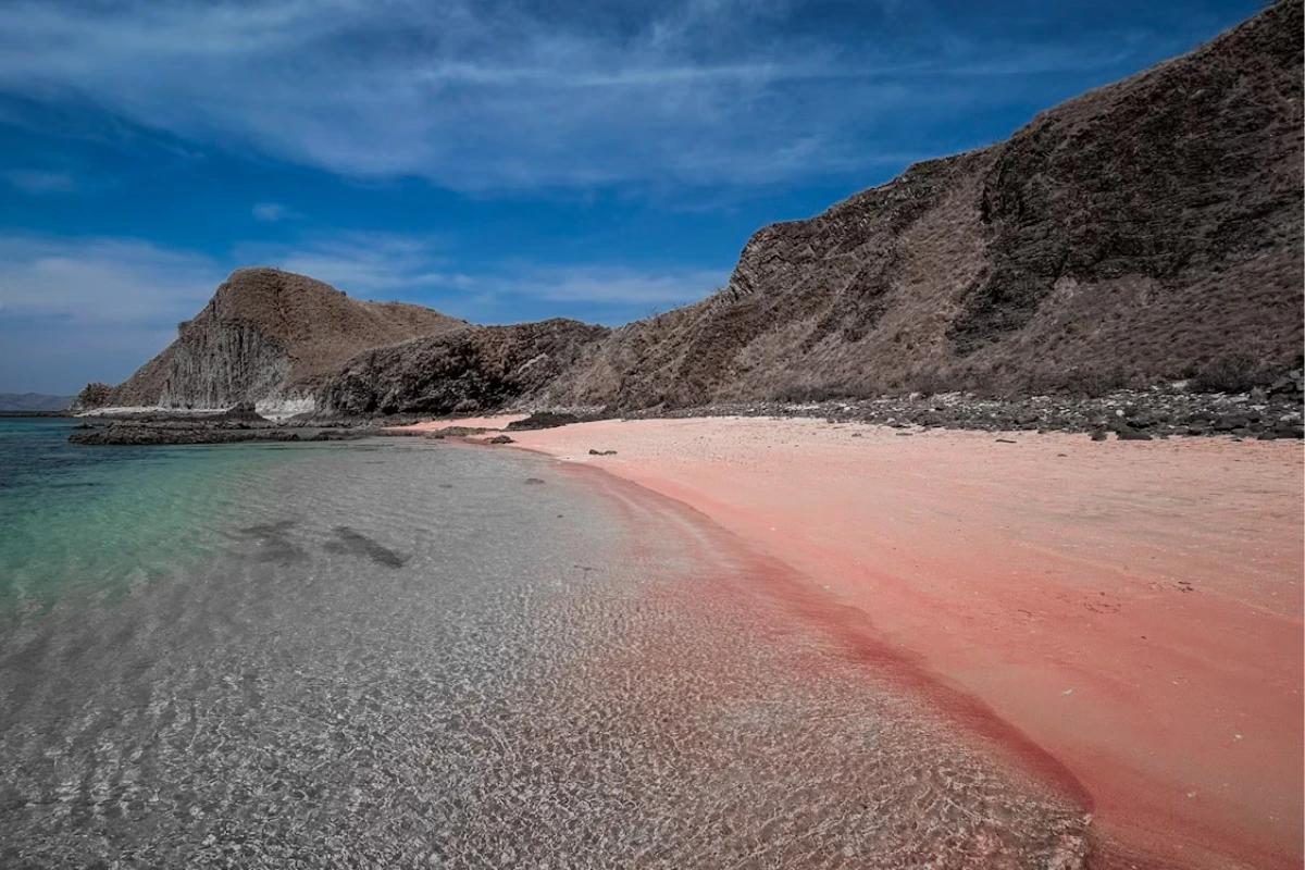 Why is Komodo Beach pink
