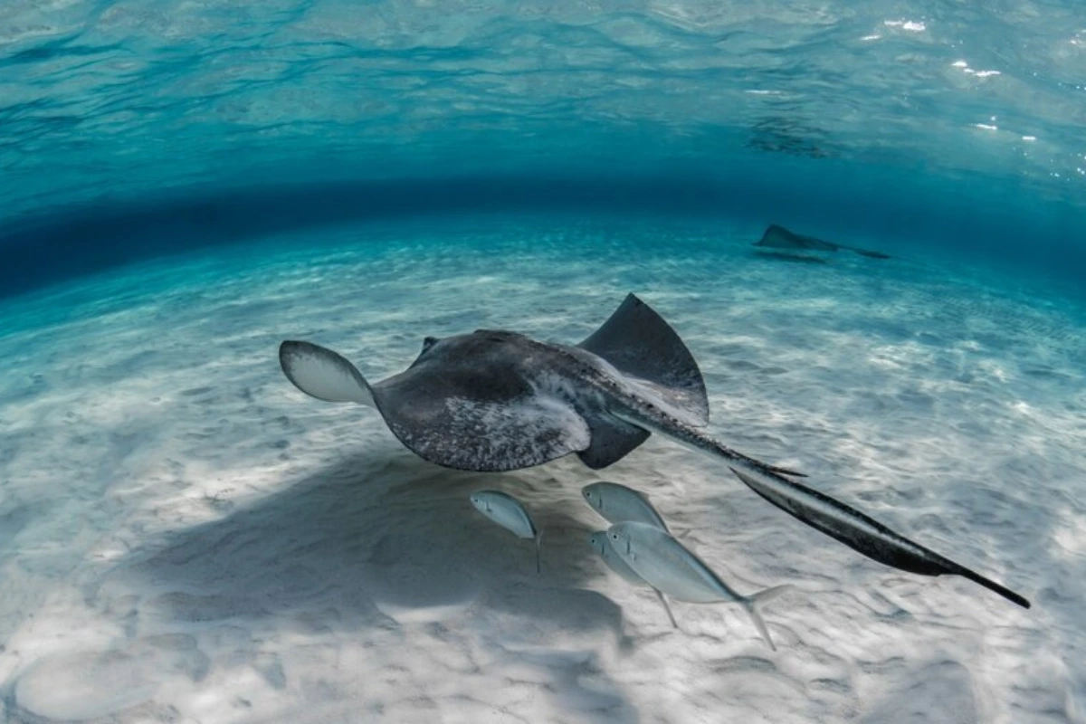 Snorkeling spots in Labuan Bajo