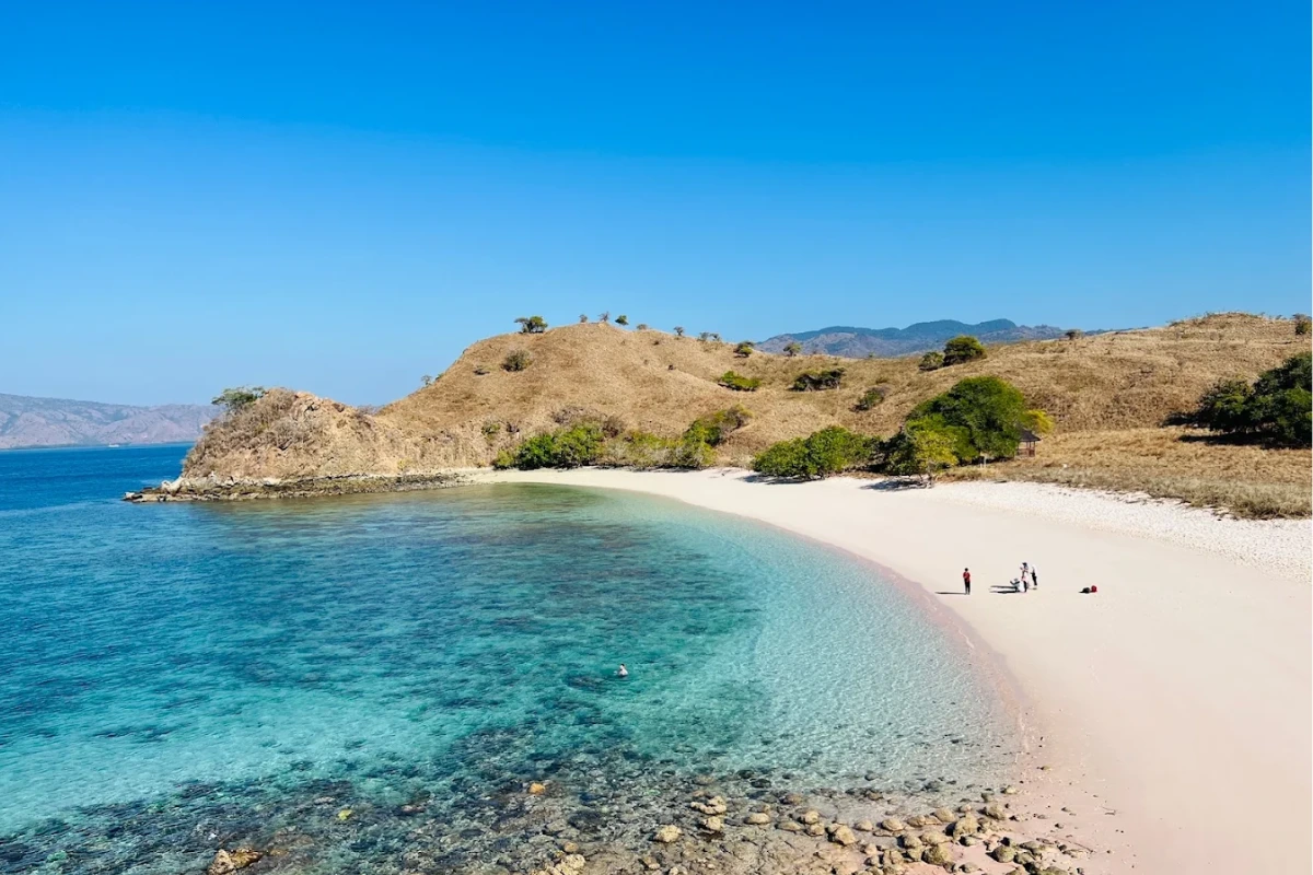 things to do at Pink Beach Komodo Island