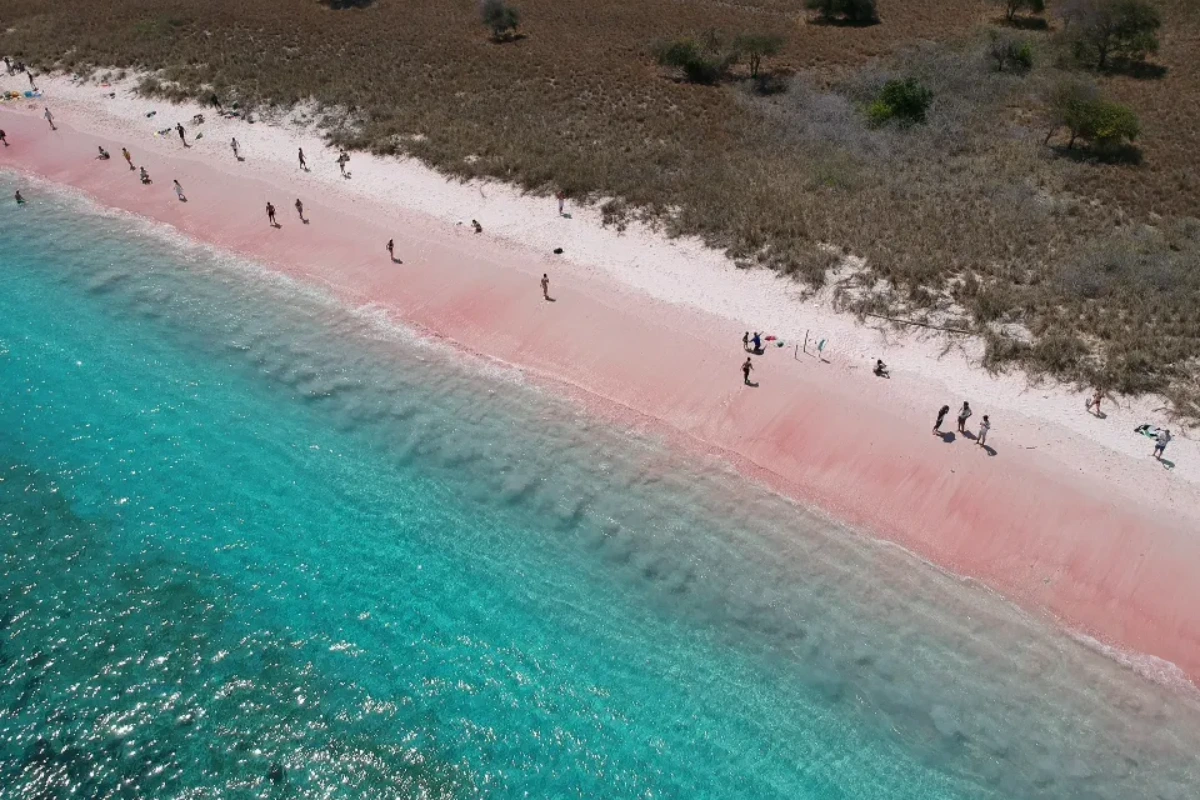 Pink beach Komodo National Park